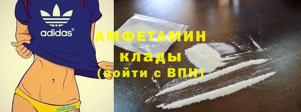 стаф Арсеньев