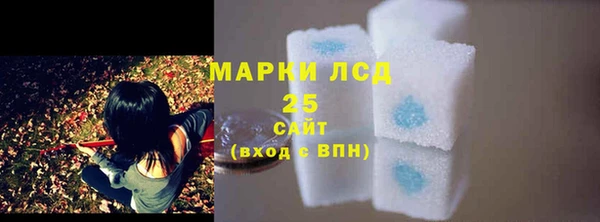 стаф Арсеньев