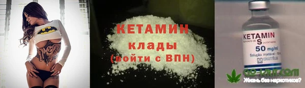 стаф Арсеньев